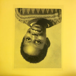 Dizzee Rascal : Raskit (2xLP, Album)