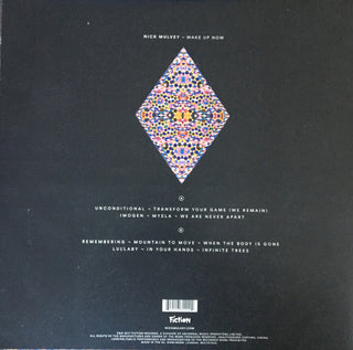 Nick Mulvey : Wake Up Now (LP, Album, Ora)