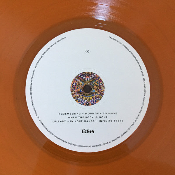 Nick Mulvey : Wake Up Now (LP, Album, Ora)