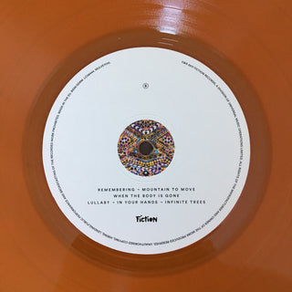 Nick Mulvey : Wake Up Now (LP, Album, Ora)