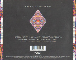 Nick Mulvey : Wake Up Now (CD, Album)