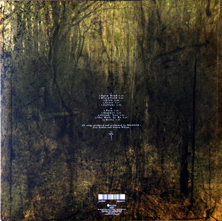 Blackfield : Blackfield (LP, Album, RE, RM, 180)