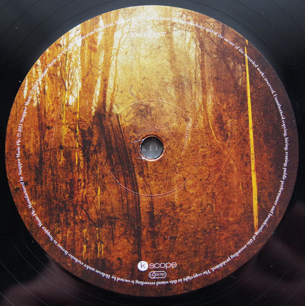 Blackfield : Blackfield (LP, Album, RE, RM, 180)