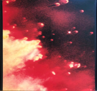 Pearl Jam : Binaural (2xLP, Album, RE, RM)