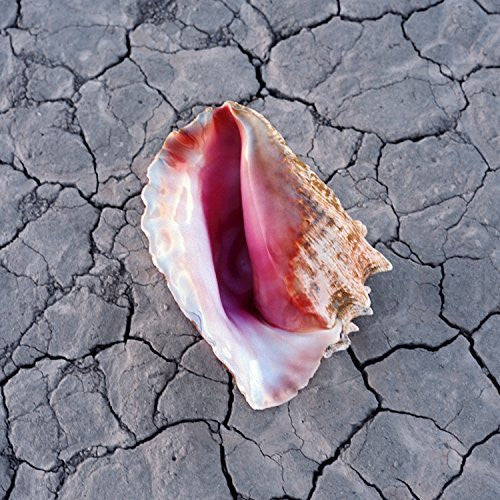 The Killers : Wonderful Wonderful (2xLP, Album, Dlx)