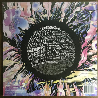 The Shins : The Worms Heart (LP, Album)