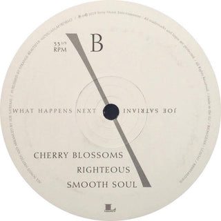 Joe Satriani : What Happens Next (2xLP, Album)