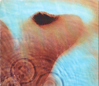 Pink Floyd : Meddle (CD, Album, RE, RM)