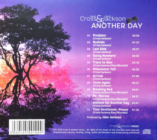 David Cross & David Jackson : Another Day (CD, Album, Dig)