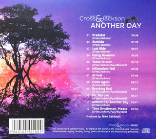 David Cross & David Jackson : Another Day (CD, Album, Dig)