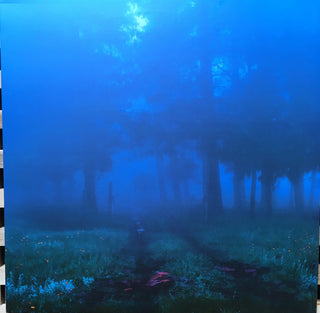 Various : Commune (12", Ltd)