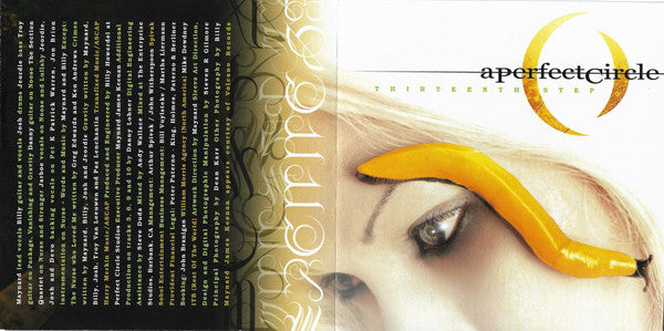 A Perfect Circle : Thirteenth Step (CD, Album, RP)
