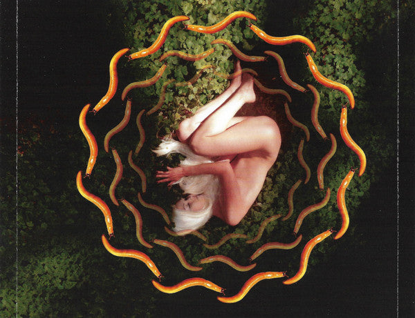 A Perfect Circle : Thirteenth Step (CD, Album, RP)