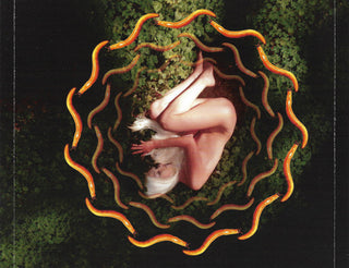 A Perfect Circle : Thirteenth Step (CD, Album, RP)