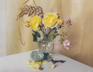 Florence And The Machine : High As Hope (CD, Album)