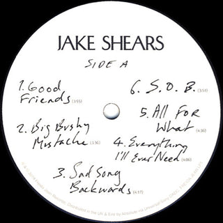 Jake Shears : Jake Shears (LP, Album)