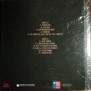 Alex Anwandter : Latinoamericana (LP, Album)