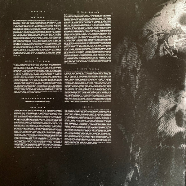 Slipknot : We Are Not Your Kind (2xLP, Album)