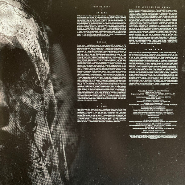 Slipknot : We Are Not Your Kind (2xLP, Album)