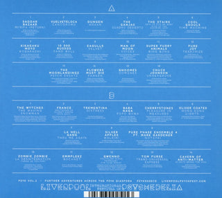 Various : Liverpool International Festival Of Psychedelia - Pzyk Vol. 2 - Further Adventures Across The Pzyk Diaspora (2xCD, Comp)