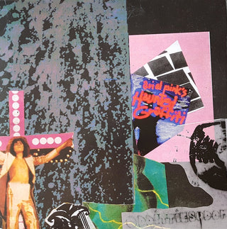 Ariel Pink, Ariel Pink's Haunted Graffiti : Odditties Sodomies Vol. 2 (LP, Comp)