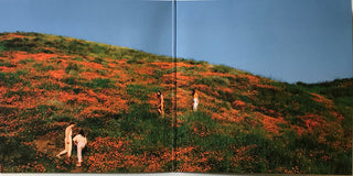 The Big Moon : Walking Like We Do (LP, Album, Blu + CDr + Ltd)