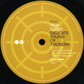 Pink Floyd : Delicate Sound Of Thunder (3xLP, Album, RE, 180)