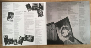 Stiff Little Fingers : Flags & Emblems (LP, Album, Dlx, RE)