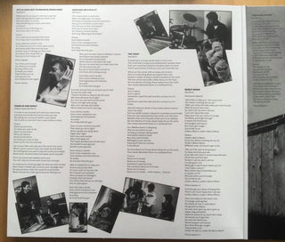 Stiff Little Fingers : Flags & Emblems (LP, Album, Dlx, RE)