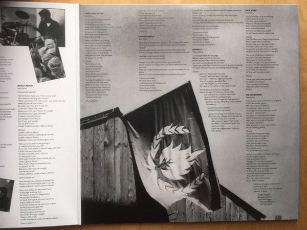 Stiff Little Fingers : Flags & Emblems (LP, Album, Dlx, RE)