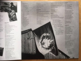 Stiff Little Fingers : Flags & Emblems (LP, Album, Dlx, RE)
