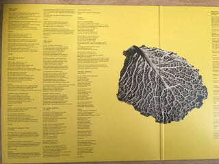 Stiff Little Fingers : Get A Life (2xLP, Album, Dlx)