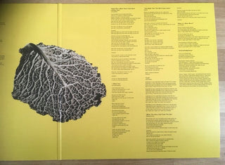 Stiff Little Fingers : Get A Life (2xLP, Album, Dlx)