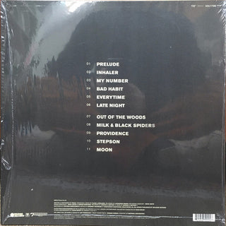 Foals : Holy Fire (LP, Album, RE)