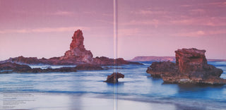 Mike Oldfield : Incantations (2xLP, Album, RSD, RE, RM, Cle)