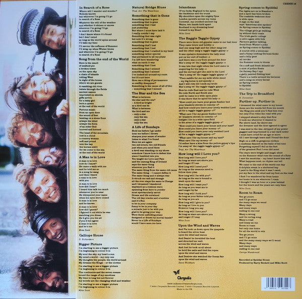 The Waterboys : Room To Roam (2xLP, Album, RM, Hal)