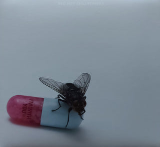 Red Hot Chili Peppers : I'm With You (CD, Album, RE)