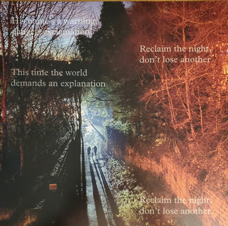 Belle & Sebastian : A Bit Of Previous (LP, Album, Ltd, Gat)