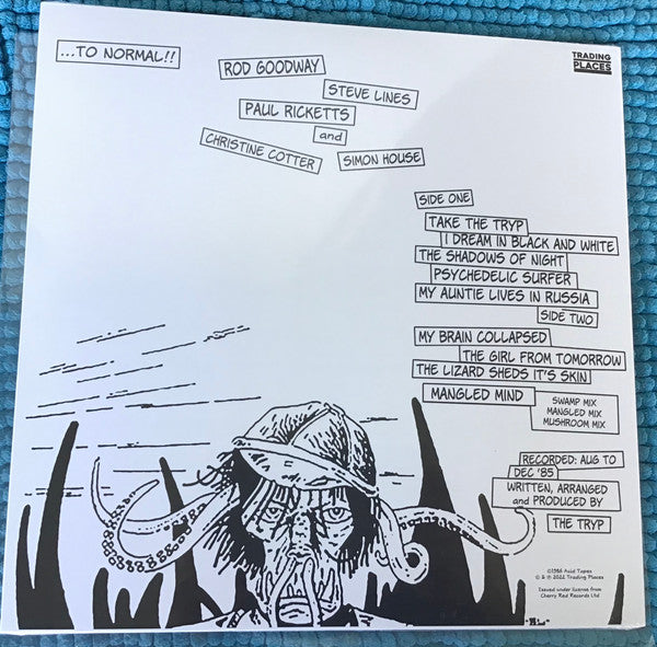 The Tryp (2) : My Brain Collapsed!! (LP, Ltd)