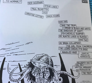 The Tryp (2) : My Brain Collapsed!! (LP, Ltd)