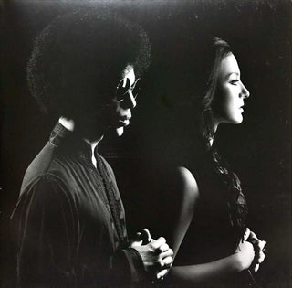 Prince & 3RDEYEGIRL : Plectrumelectrum (LP, Album, RE, Gat)