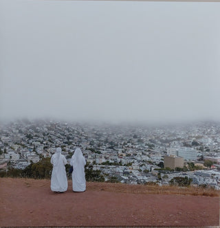 Death Cab For Cutie : Asphalt Meadows (LP, Album, 180)