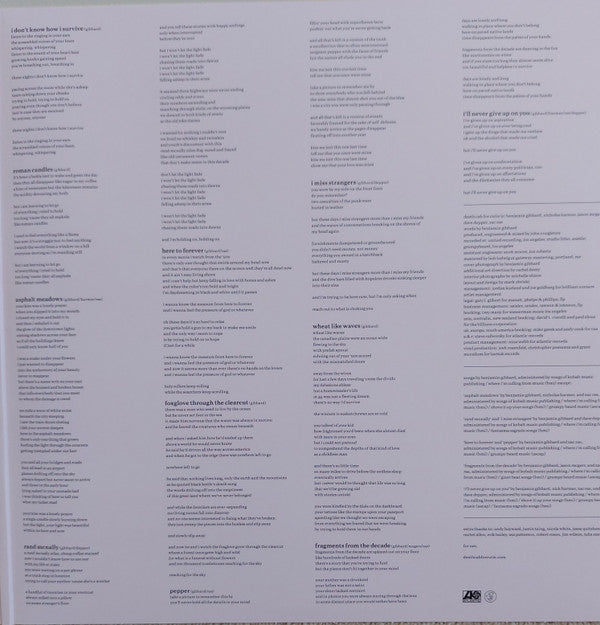 Death Cab For Cutie : Asphalt Meadows (LP, Album, 180)