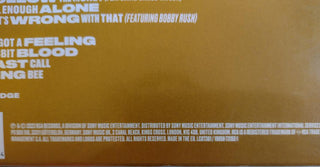 Buddy Guy : The Blues Don't Lie (2xLP, Album)