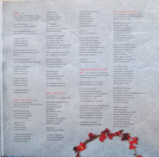Robert Plant : Band Of Joy (LP, 180 + LP, S/Sided, Etch, 180 + Album)