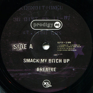 Prodigy* : The Fat Of The Land (2xLP, Album)