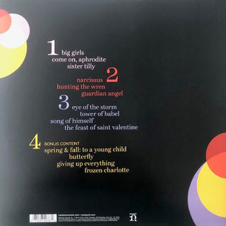 Natalie Merchant : Keep Your Courage (2xLP, Album)