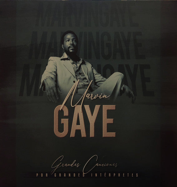 Marvin Gaye : Grandes Canciones Por Grandes Intérpretes (LP, Comp)