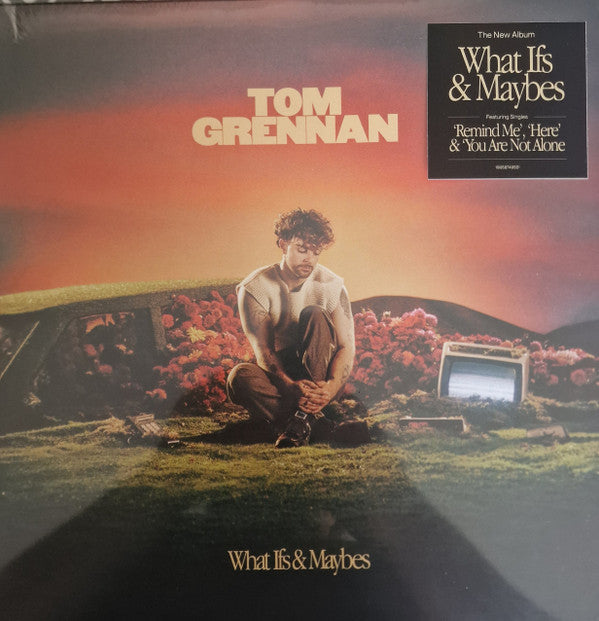 Tom Grennan : What Ifs & Maybes (LP, Ora)