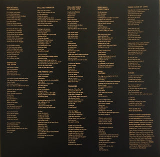 Royal Blood (6) : Back To The Water Below (LP, Album)